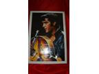 Elvis Poster in Huge Frame